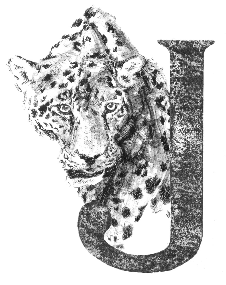 Jaguar with large J small