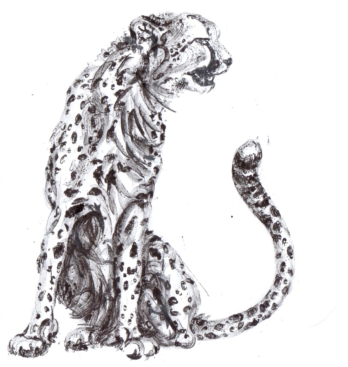 cheetah scan