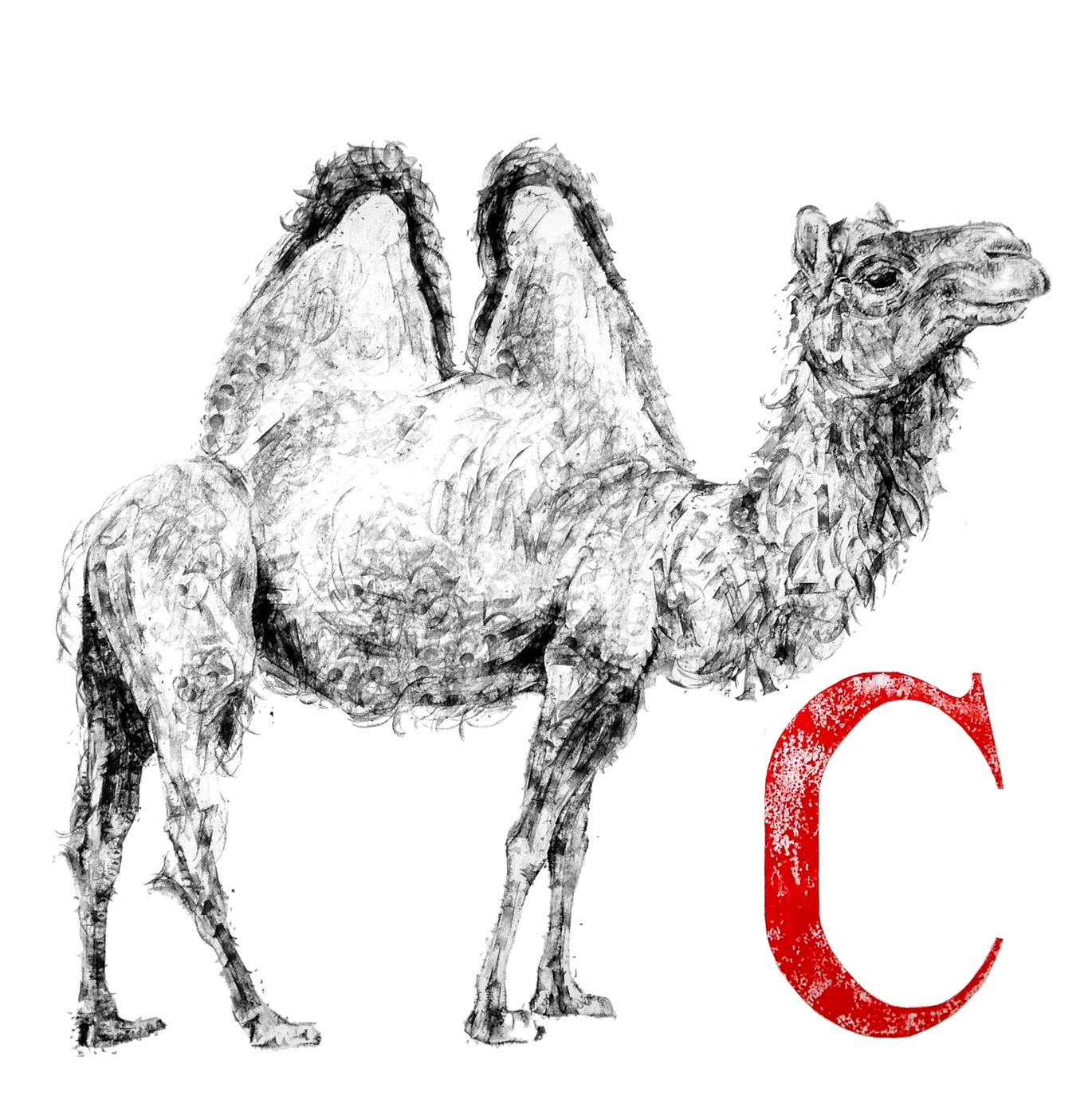 camel reutter post 3